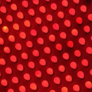 Meet your Posher, Bridget